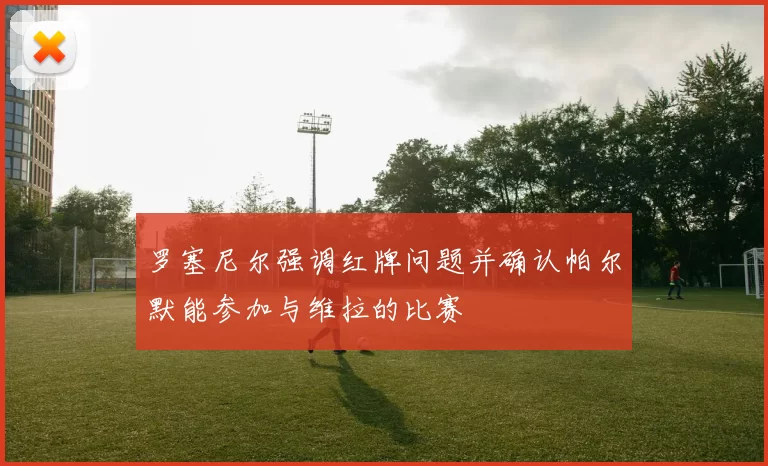 罗塞尼尔强调红牌问题并确认帕尔默能参加与维拉的比赛