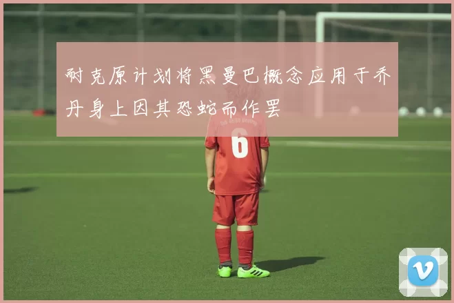 耐克原计划将黑曼巴概念应用于乔丹身上因其恐蛇而作罢