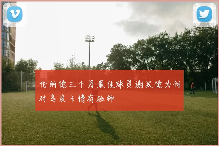 伦纳德三个月最佳球员谢泼德为何对乌度卡情有独钟